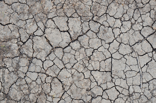 Dried cracked earth soil ground texture background. Mosaic pattern of sunny dried earth soil