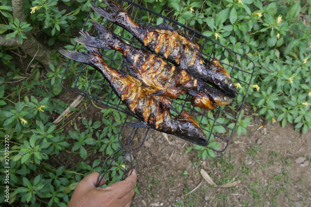 Preparation of fresh fish on the barbecue Preparation of fresh fish on the barbecue