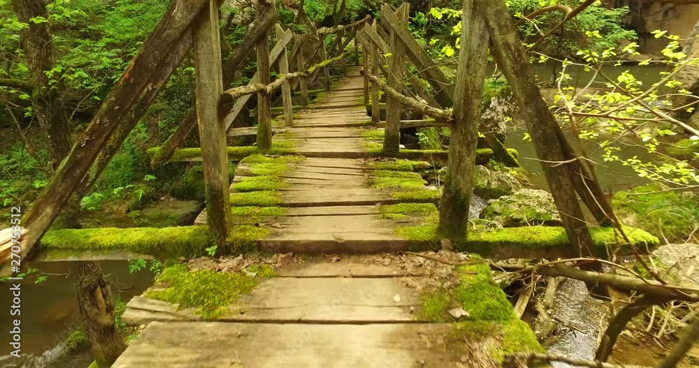 Passing an old wooden bridge covered with moist Passing an old wooden bridge covered with moist