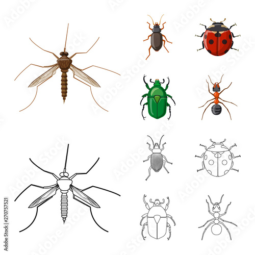 Vector design of insect and fly logo. Collection of insect and element vector icon for stock. © Svitlana