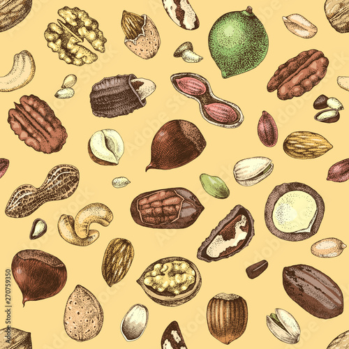 Seamless pattern with hand drawn edible nuts