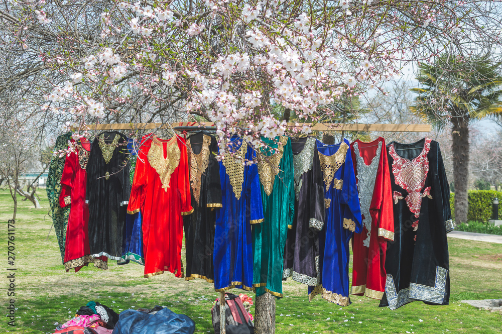 3,830 Kashmir Dress Images, Stock Photos & Vectors | Shutterstock