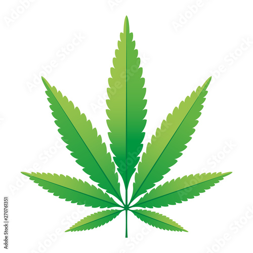 Green Hemp leaf vector illustration