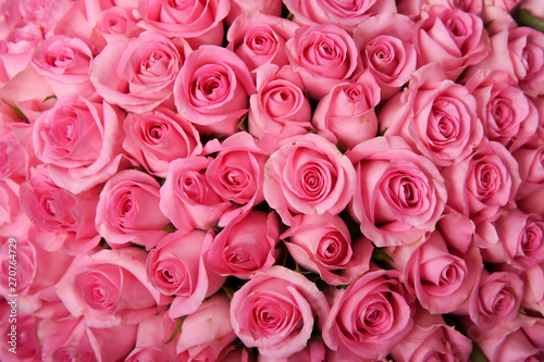 background of pink roses buds
