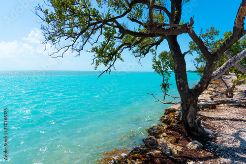 Fototapeta Naklejka Na Ścianę i Meble -  Turquoise water in Florida Keys