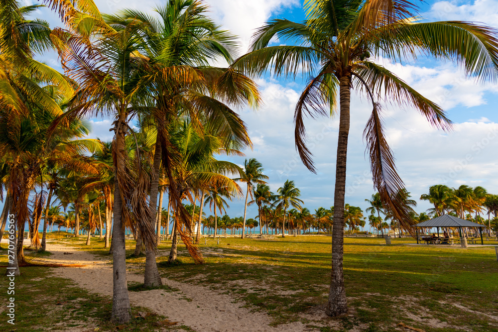 Crandon Park in Key Biscayne at sunset Crandon Park in Key Biscayne at sunset