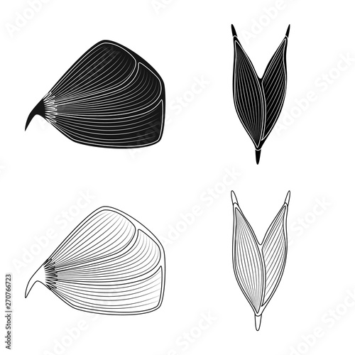 Vector illustration of fiber and muscular symbol. Set of fiber and body  vector icon for stock.