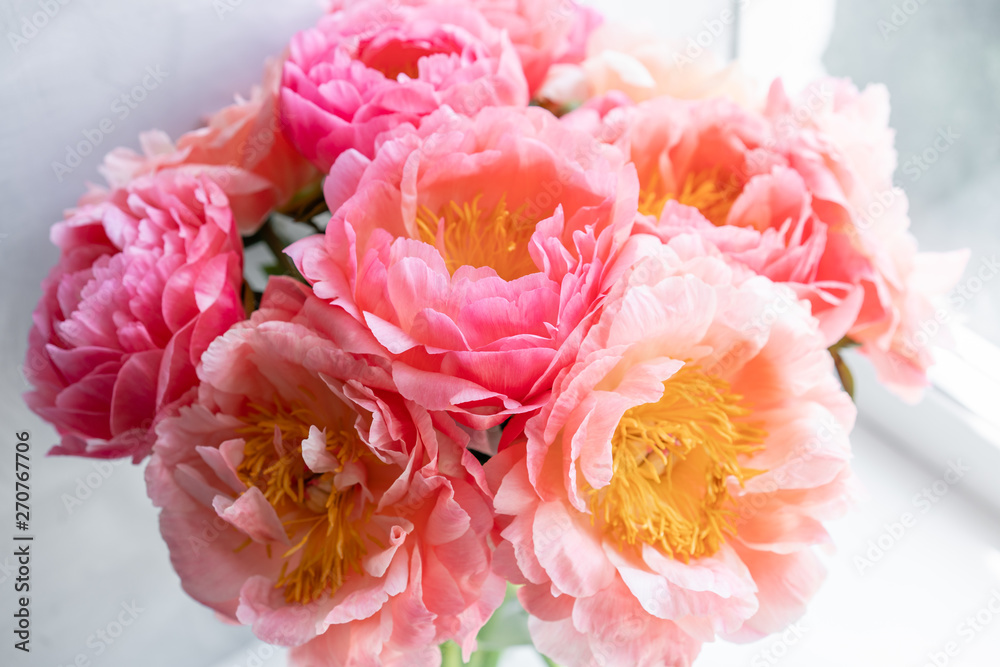 Coral peonies. Flowers in a vase on a white windowsill. Morning light in the room. Beautiful peony flower for catalog or online store. Floral shop and delivery concept .