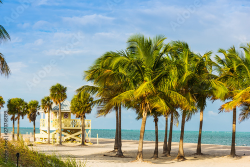 Palm trees and white sand in Key Biscayne at sunset