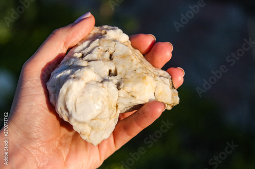 natural white stone in hand, marble