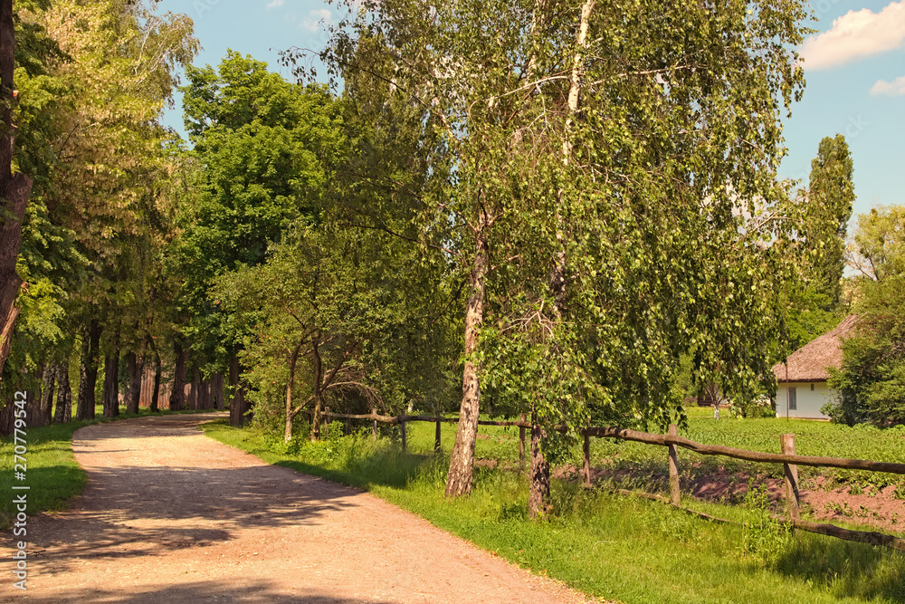 Narrow winding dirt road with poplars and birch along the curb. Typical road in ancient Ukrainian village. Pereyaslav-Khmelnitsky Museum of Folk Architecture and Life of the Middle Naddnipryanshchyna Narrow winding dirt road with poplars and birch along the curb. Typical road in ancient Ukrainian village. Pereyaslav-Khmelnitsky Museum of Folk Architecture and Life of the Middle Naddnipryanshchyna