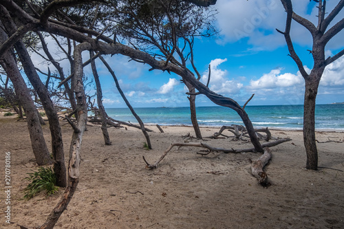 Beaches of Alghero (L'Alguer) on a stormy day, province of Sassari , Sardinia, Italy.