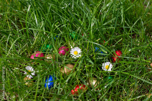 Easter egg hunt: chocolate eggs in the grass with daisies