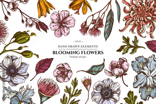 Floral design with colored japanese chrysanthemum, blackberry lily, eucalyptus flower, anemone, iris japonica, sakura