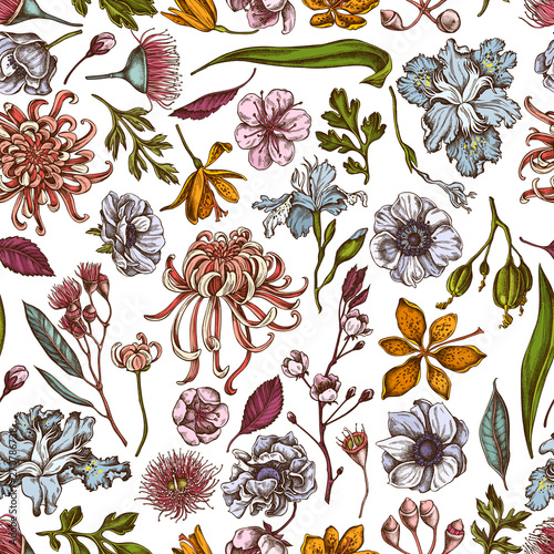 Seamless pattern with hand drawn colored japanese chrysanthemum, blackberry lily, eucalyptus flower, anemone, iris japonica, sakura