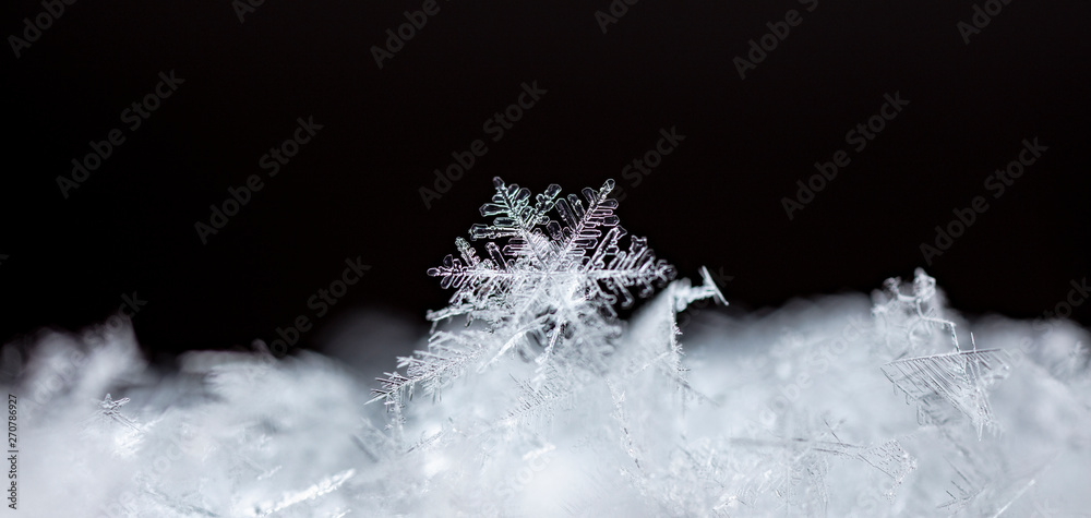 snowflake, little snowflake on the snow snowflake, little snowflake on the snow
