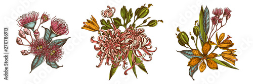 Flower bouquet of colored japanese chrysanthemum, blackberry lily, eucalyptus flower