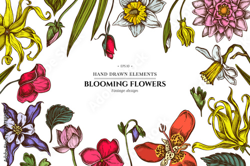 Floral design with colored ylang-ylang, impatiens, daffodil, tigridia, lotus, aquilegia