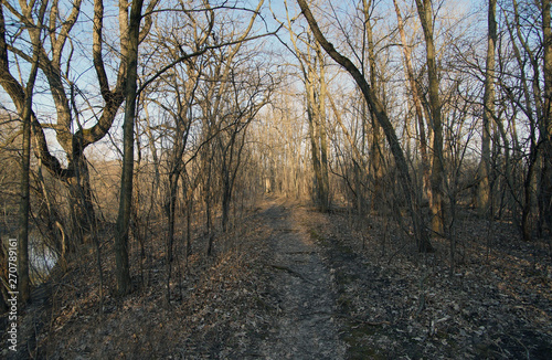 weg ins nirgendwo im winter