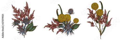 Flower bouquet of colored astilbe, craspedia, blue eryngo