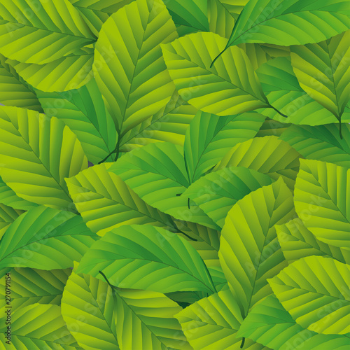 Green Beech Leaves Cover