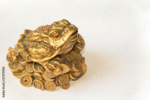 Cash mascot - Chan Chu - a gold frog figurine sitting on coins isolated on white background, in profile