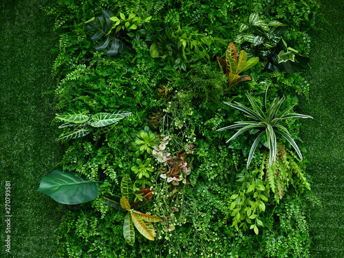 Obraz na płótnie artificial green plant wall
