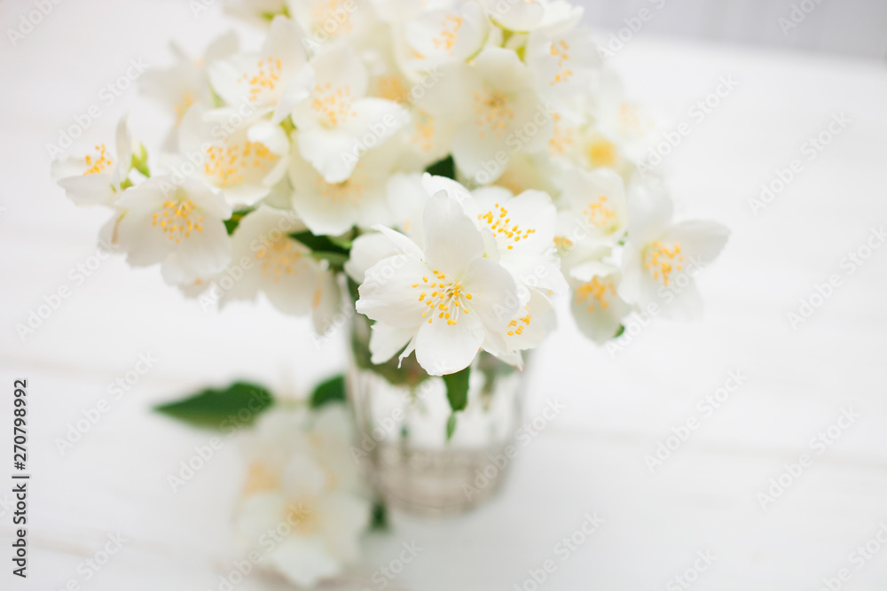 jasmine jasmine