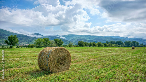 Bales of hay in the field with mountain panorama