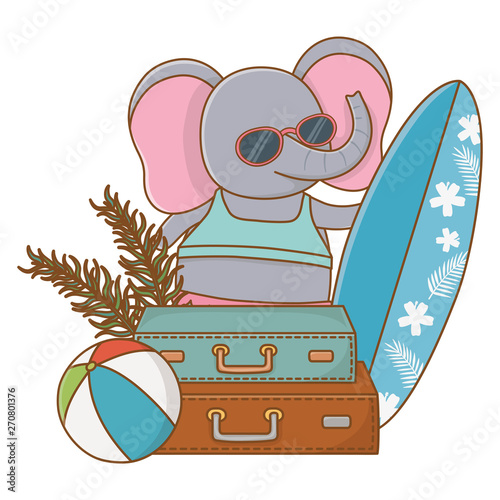 cute animal enjoying summer vacations