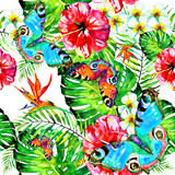 Hawaiian flowers, butterflies, watercolor, exotic plants, isolated on a white