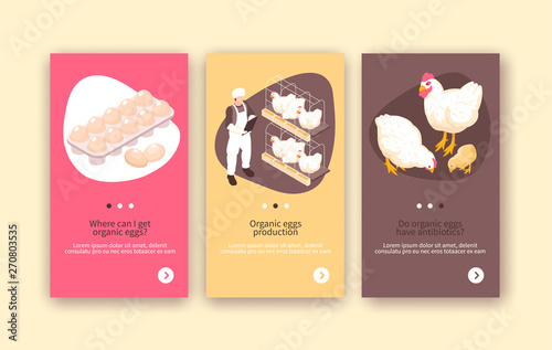 Poultry Farm Vertical Banners