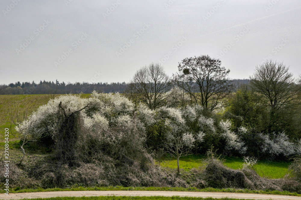 Obraz premium Landschaft