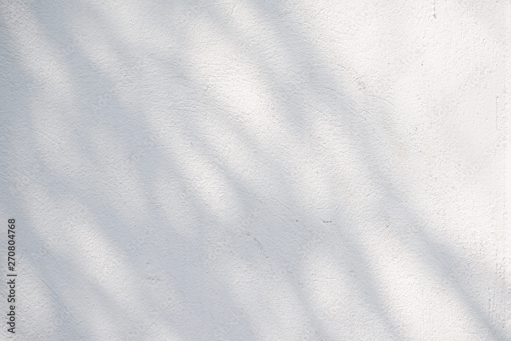 Naklejka premium Black and White abstract background textuer of shadows leaf on a concrete wall