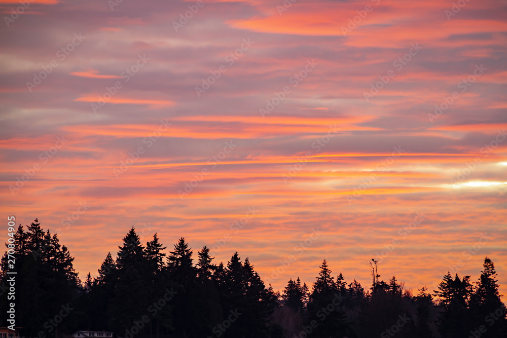 A panorama shot on the Pacific northwest with an evergreen forest in the middle in silhouette. The clouds in the sky are brilliantly lit from below. A panorama shot on the Pacific northwest with an evergreen forest in the middle in silhouette. The clouds in the sky are brilliantly lit from below.