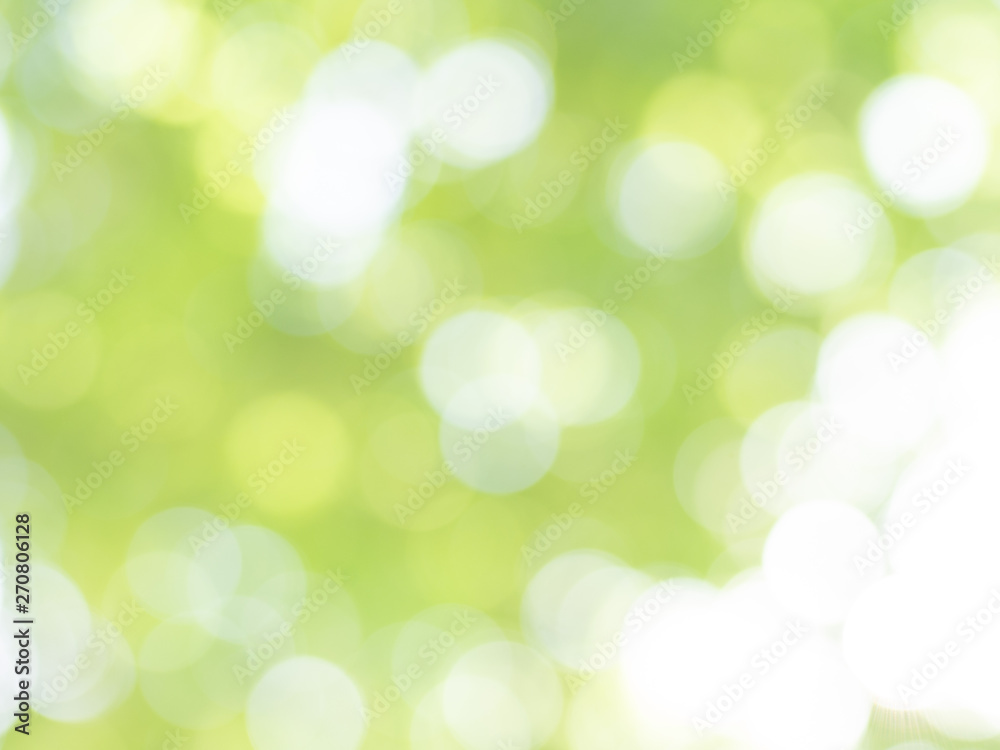 Obraz premium abstract light green background with bokeh effect