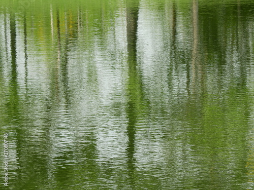 abstract water reflection in the forest