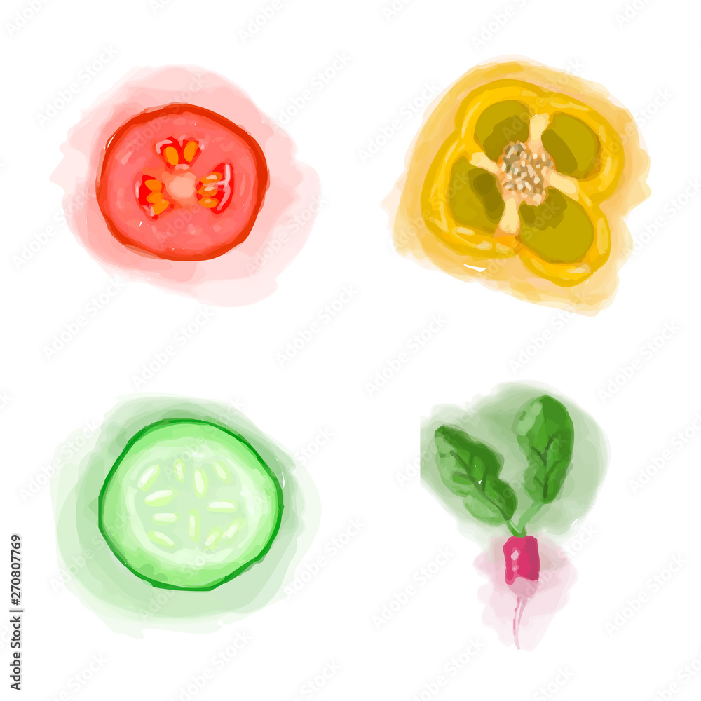 Fototapeta premium Eco food menu background. Watercolor hand drawn vegetables. Vector illustration