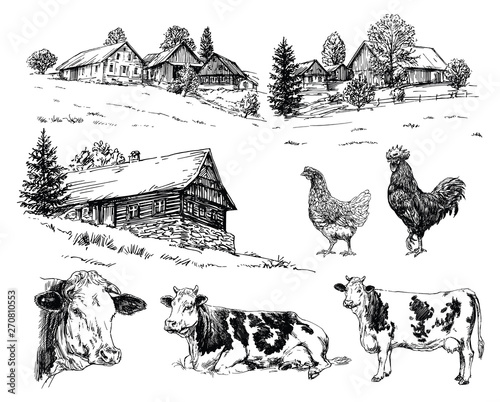 Farm, cows, rural houses. Hand drawn set.