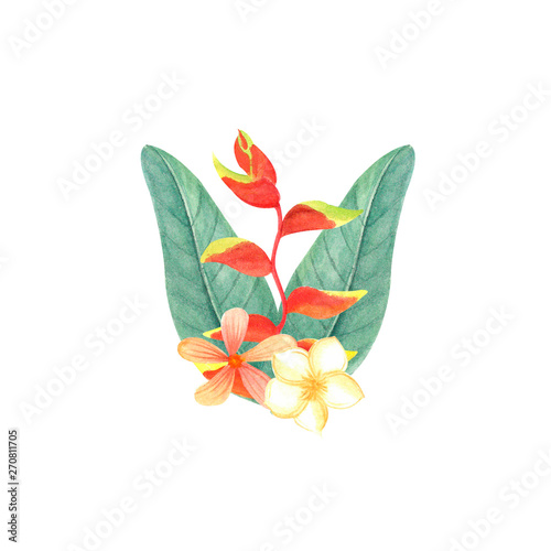 .watercolor illustration drawn by hand. Tropical leaves