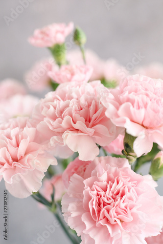 gentle pink carnation flowers in vase on grey background 