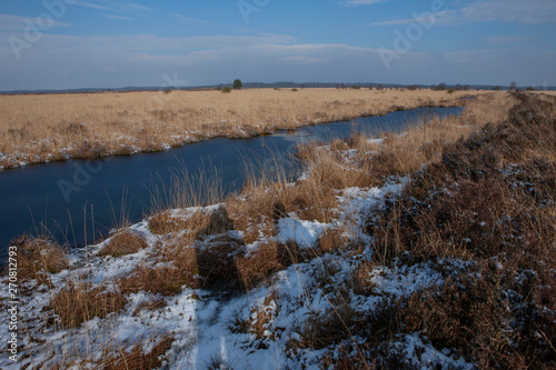 Fototapeta Naklejka Na Ścianę i Meble -  Winter in the moors of Fochteloerveen. National Park Drents Friese Woud Netherlands