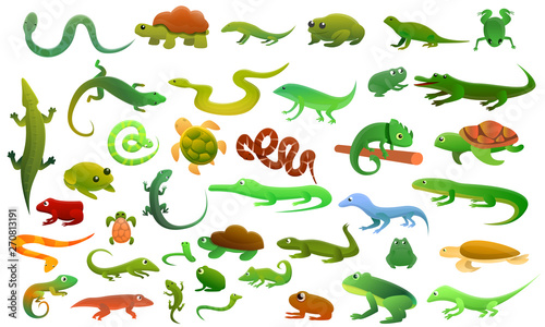 Reptiles amphibians icons set. Cartoon set of reptiles amphibians vector icons for web design