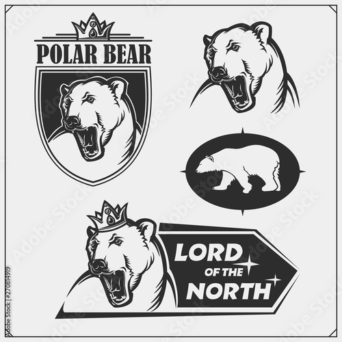 Labels, emblems and design elements for sport club with polar bear. Print design for t-shirt.