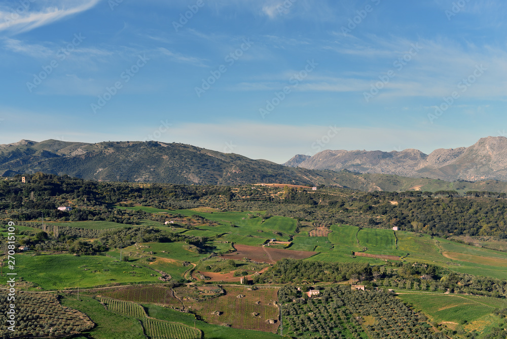 View towards the mountains of the Sierra de Grazalema, Ronda, Malaga Province, Andalucia, Spain
