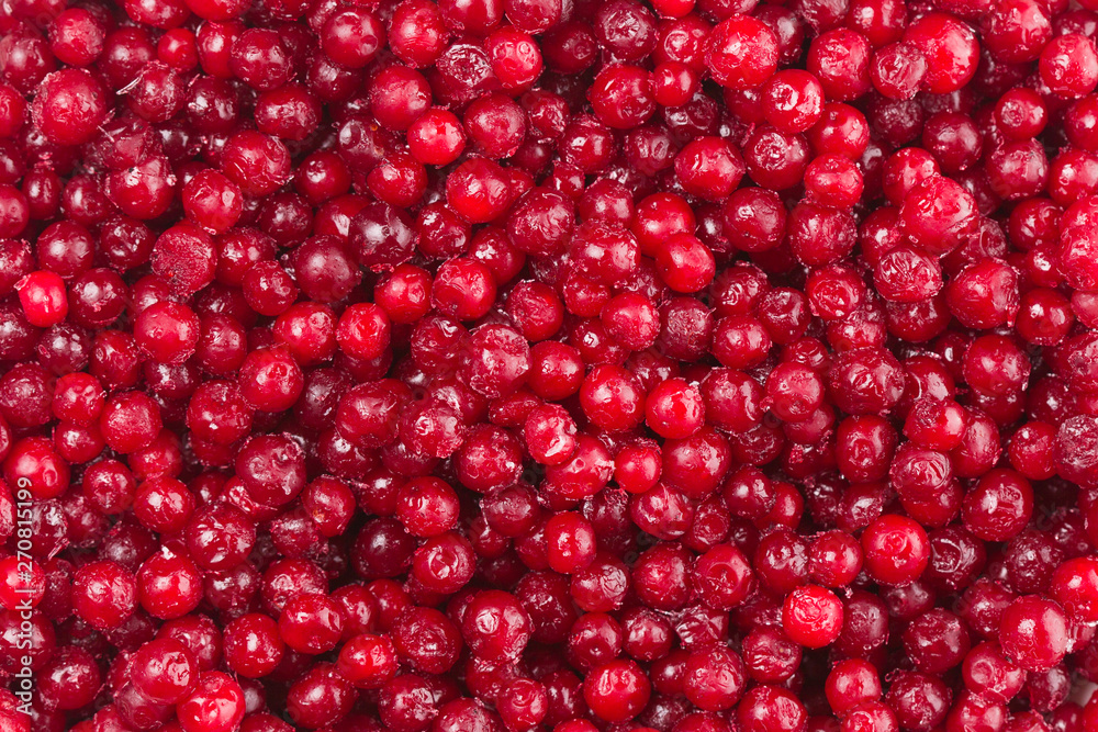 Frozen cranberry pattern. Flat lay, top view, square Frozen cranberry pattern. Flat lay, top view, square