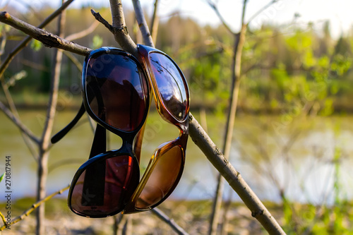 Sunglasses, forgotten by people on vacation, hang on a tree branch against the background of the river