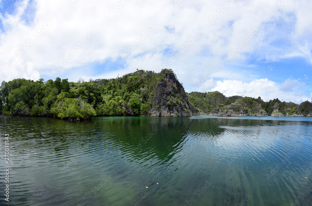 Amazing Asia - Nature Reserve - Raja Ampat National Park. Papua - Lost Paradise. Amazing Asia - Nature Reserve - Raja Ampat National Park. Papua - Lost Paradise.
