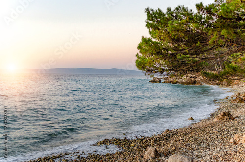 Sunset on the sea shore with rocks and pine.