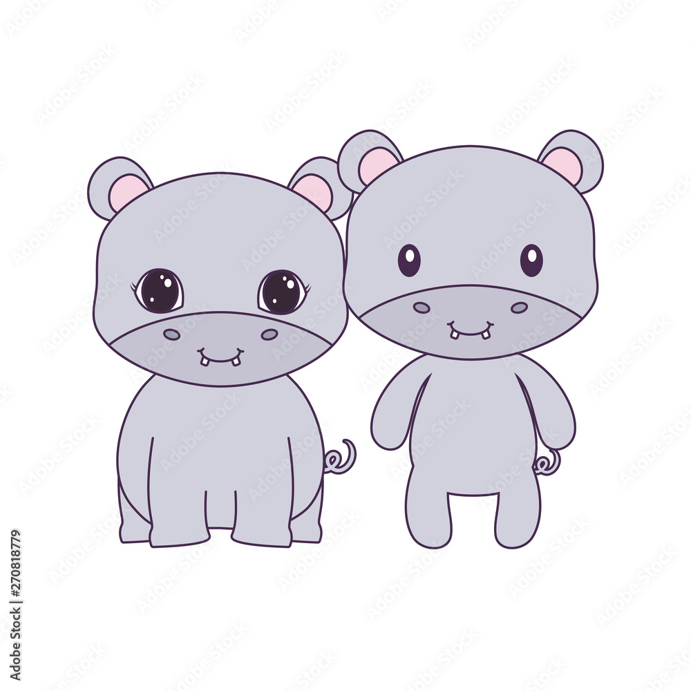 cute group of hippopotamus animals cute group of hippopotamus animals
